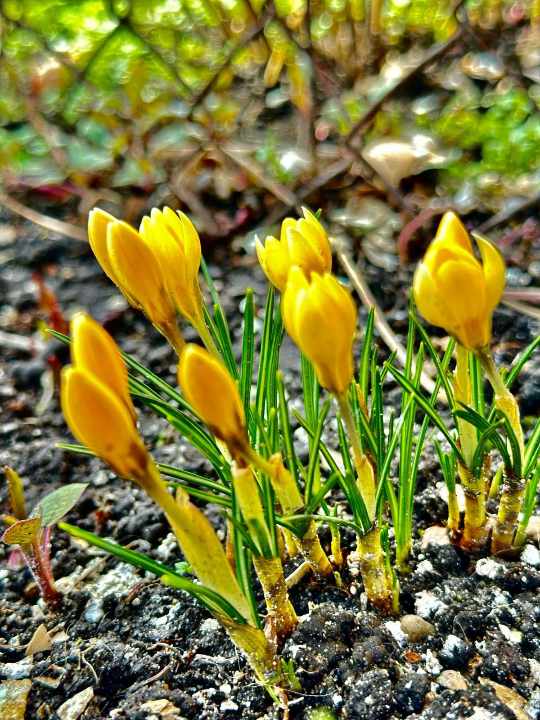 Garść informacji dla NGO-sów!